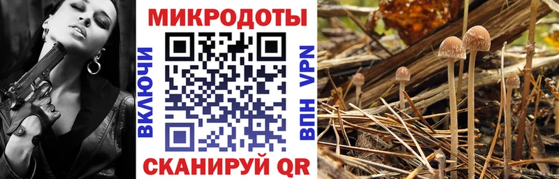 Купить где  Новотроицк  Галлюциногенные грибы мицелий 